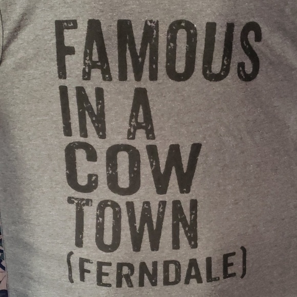 Ferndale cow town t-shirt size med - Picture 2 of 3